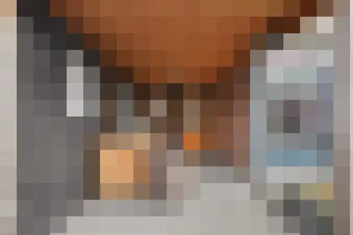 Damaststraat 23 's-Gravendeel thumbnail 43