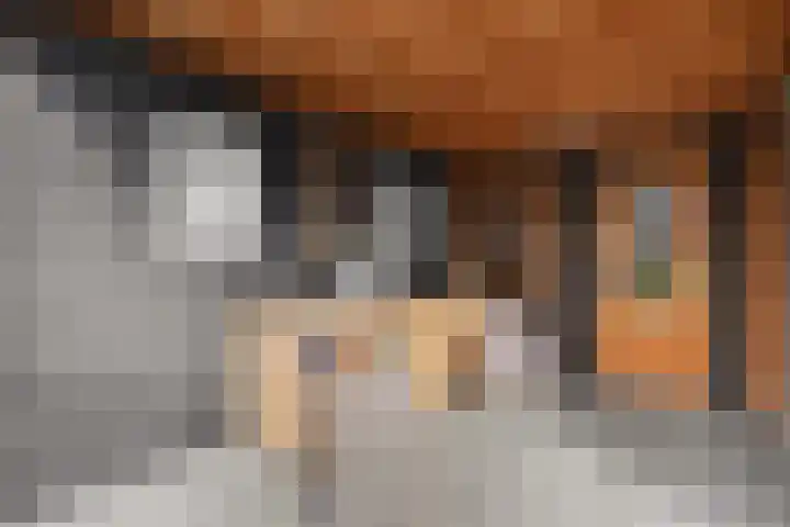 Damaststraat 23 's-Gravendeel thumbnail 44