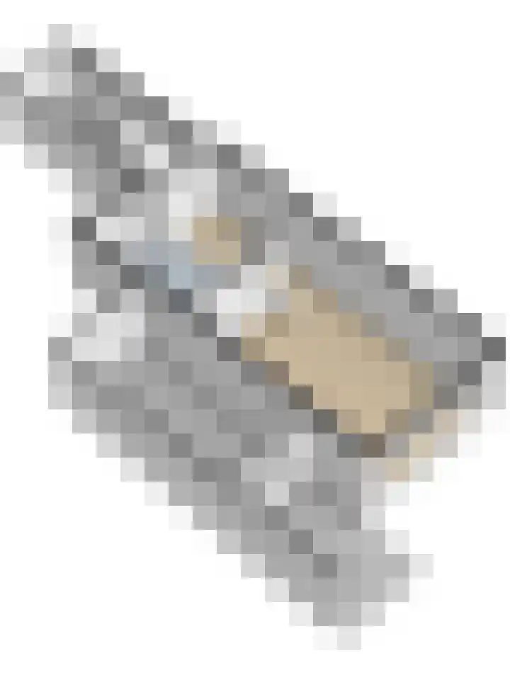 Damaststraat 23 's-Gravendeel thumbnail 53