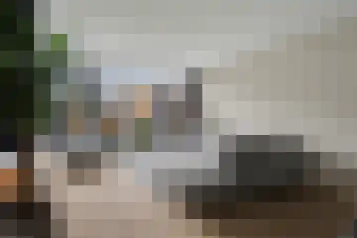 Damaststraat 23 's-Gravendeel thumbnail 6