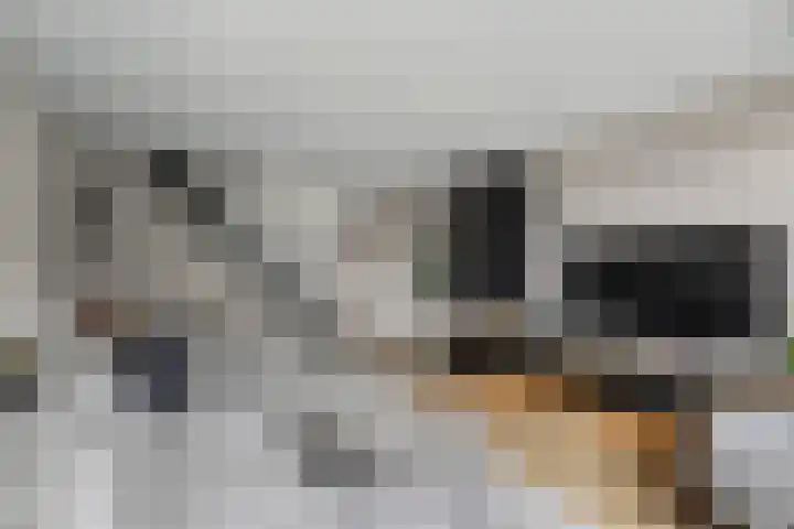 Damaststraat 23 's-Gravendeel thumbnail 7