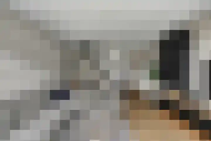 Damaststraat 23 's-Gravendeel thumbnail 8
