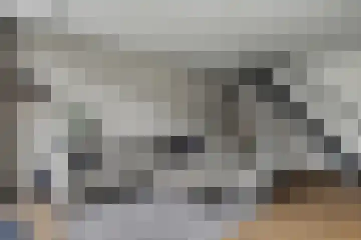 Damaststraat 23 's-Gravendeel thumbnail 9