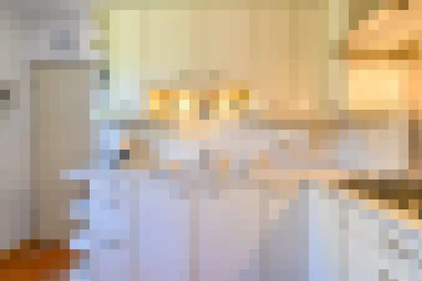 Dambeern 25 A Odoorn thumbnail 25