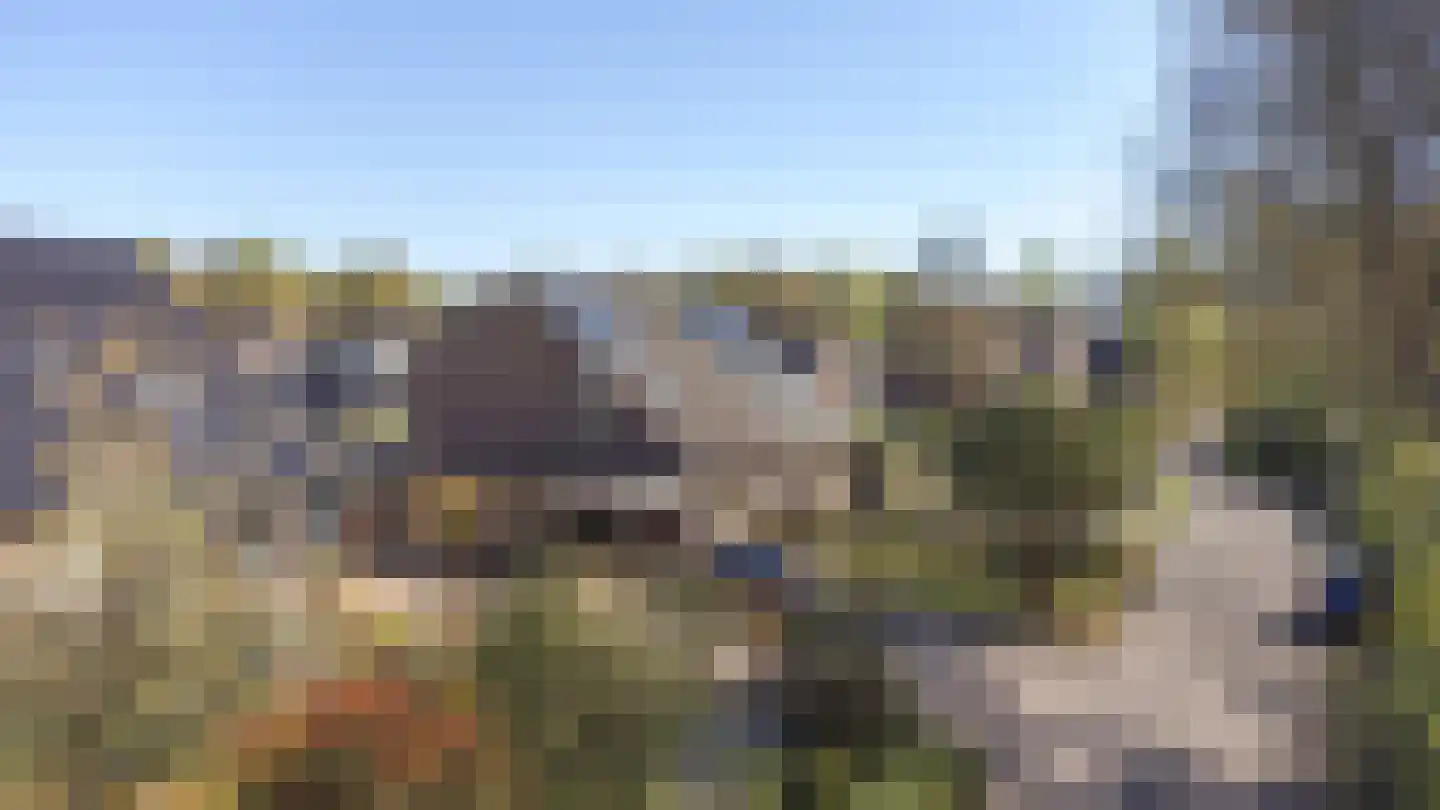 Dambeern 25 A Odoorn thumbnail 77