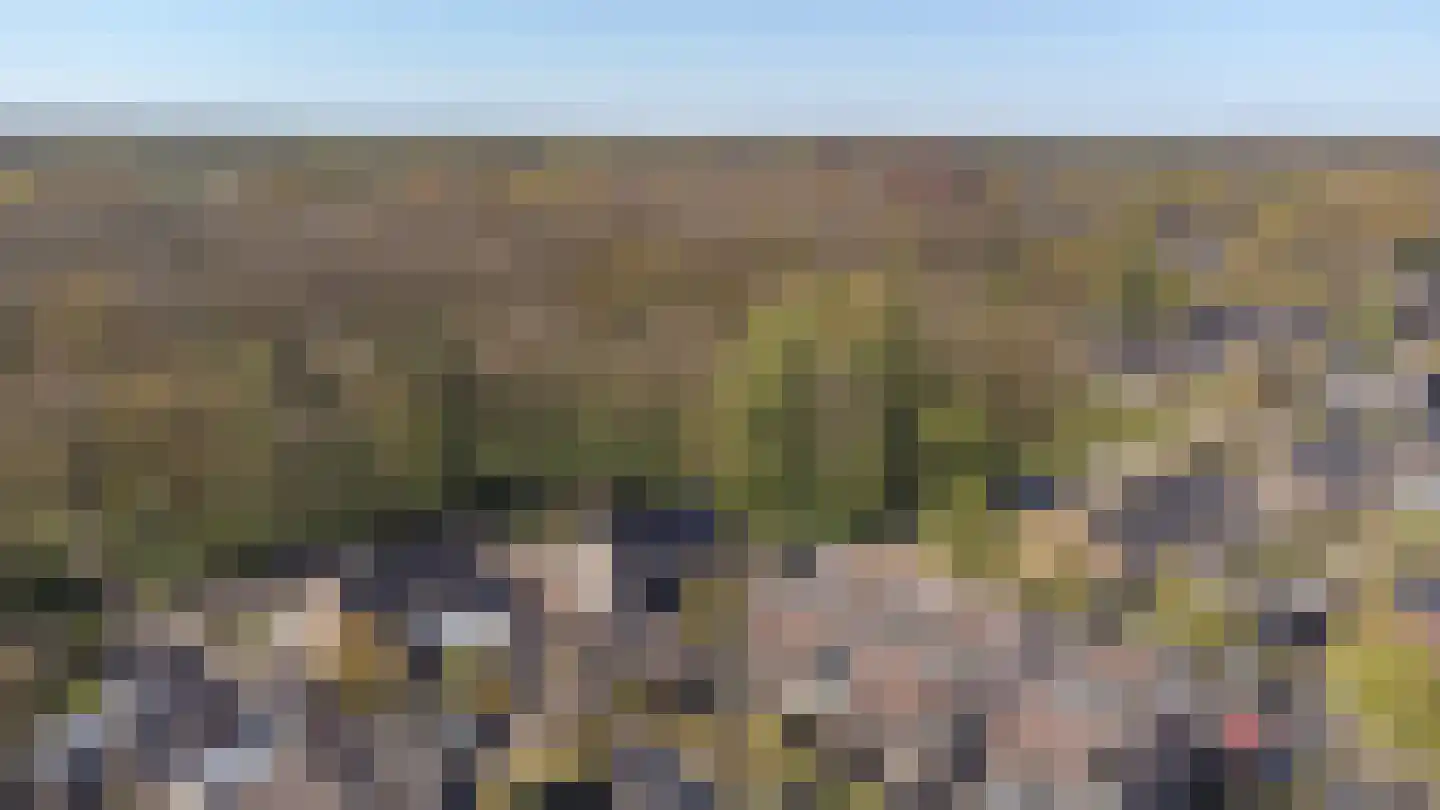 Dambeern 25 A Odoorn thumbnail 78