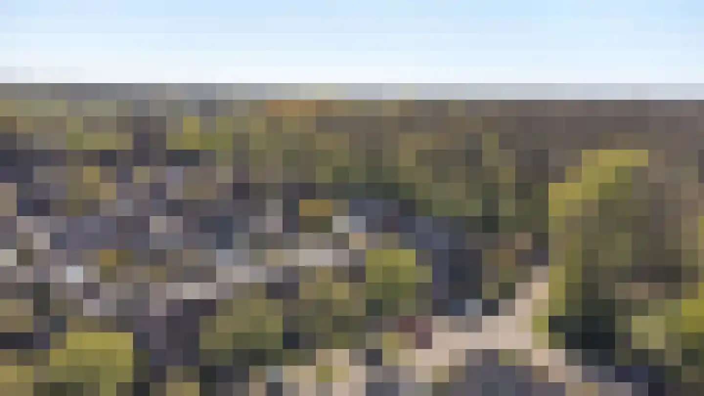 Dambeern 25 A Odoorn thumbnail 79