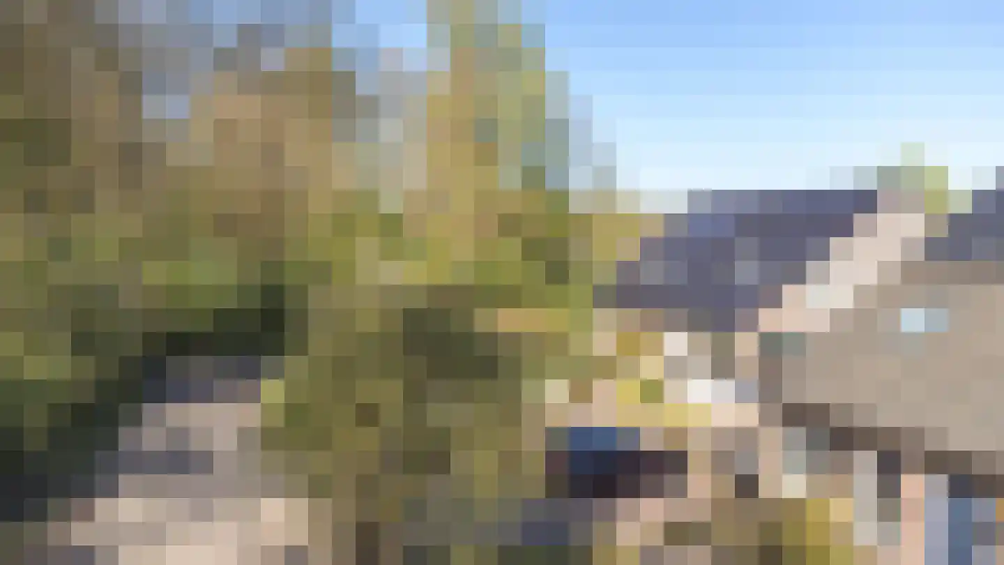 Dambeern 25 A Odoorn thumbnail 80