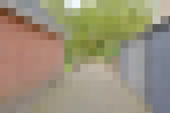 Dambeern 29 Odoorn thumbnail 10