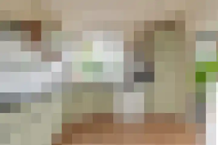 Dambeern 29 Odoorn thumbnail 15
