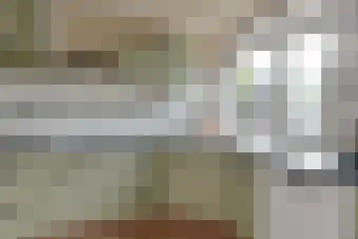 Dambeern 29 Odoorn thumbnail 16