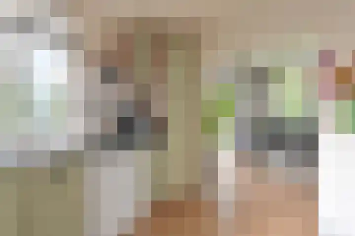 Dambeern 29 Odoorn thumbnail 17