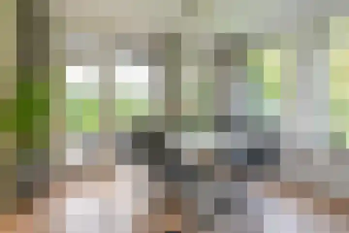 Dambeern 29 Odoorn thumbnail 19