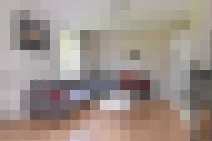 Dambeern 29 Odoorn thumbnail 22
