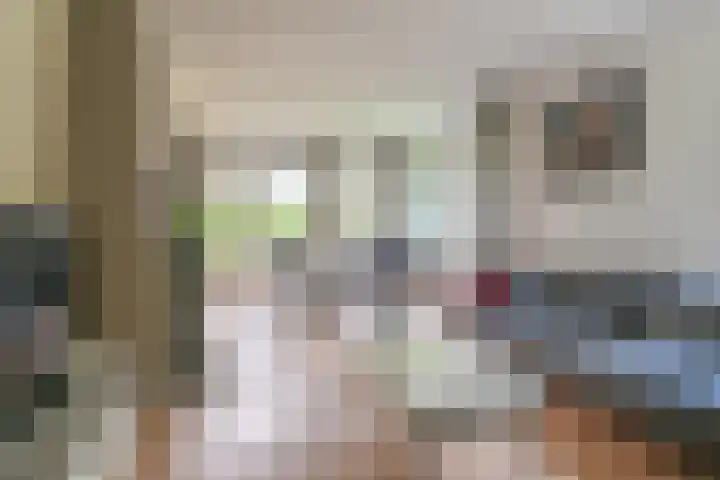 Dambeern 29 Odoorn thumbnail 23