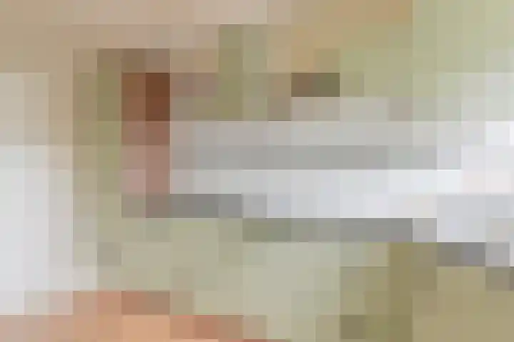 Dambeern 29 Odoorn thumbnail 25