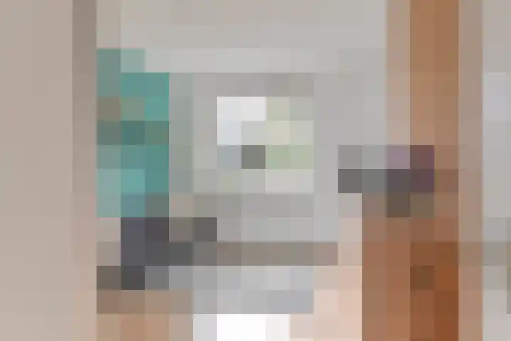 Dambeern 29 Odoorn thumbnail 27