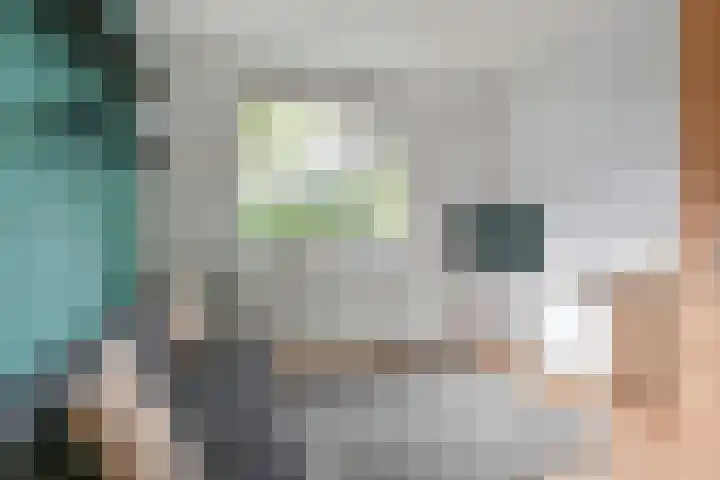 Dambeern 29 Odoorn thumbnail 28