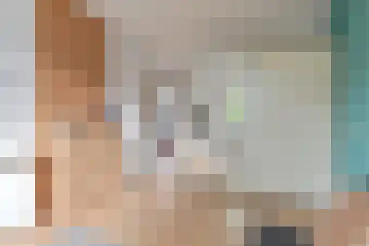 Dambeern 29 Odoorn thumbnail 29
