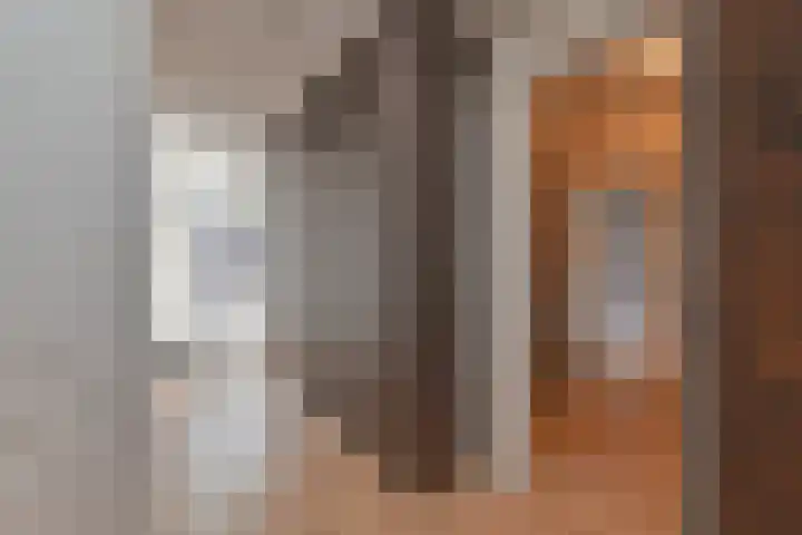 Dambeern 29 Odoorn thumbnail 32