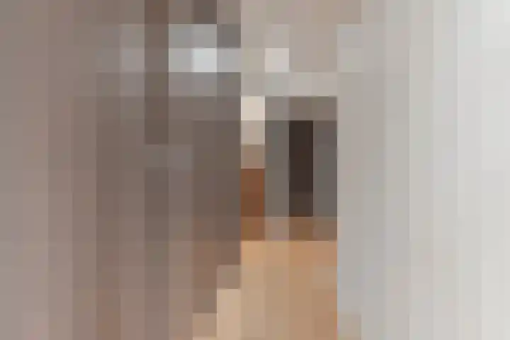 Dambeern 29 Odoorn thumbnail 33