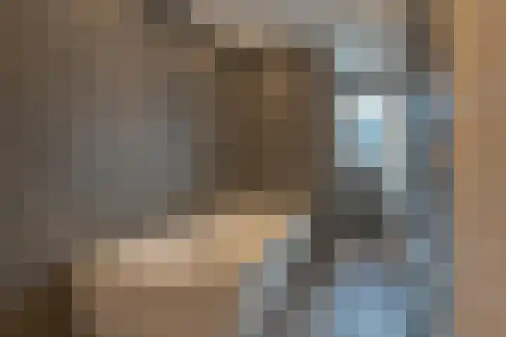 Dambeern 29 Odoorn thumbnail 37