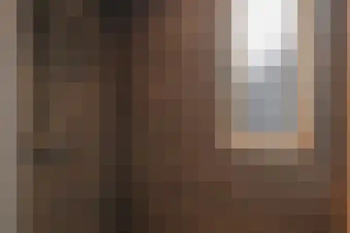 Dambeern 29 Odoorn thumbnail 38