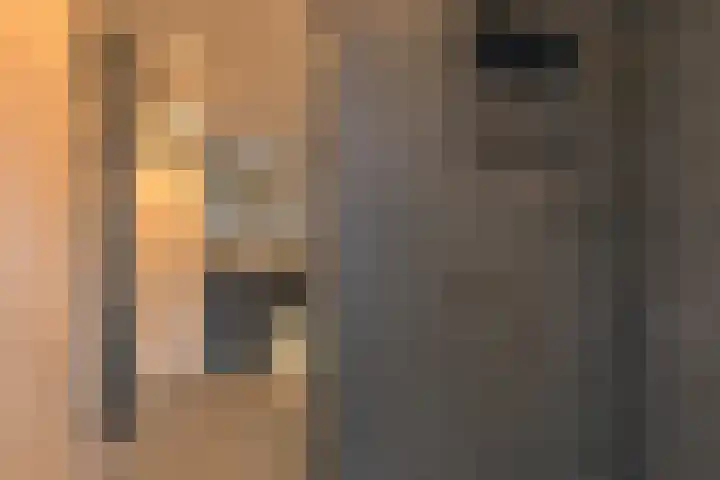Dambeern 29 Odoorn thumbnail 39