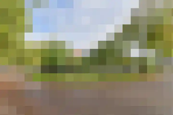 Dambeern 29 Odoorn thumbnail 4