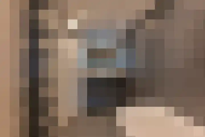 Dambeern 29 Odoorn thumbnail 40