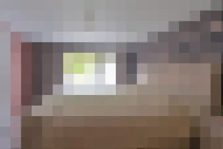 Dambeern 29 Odoorn thumbnail 43