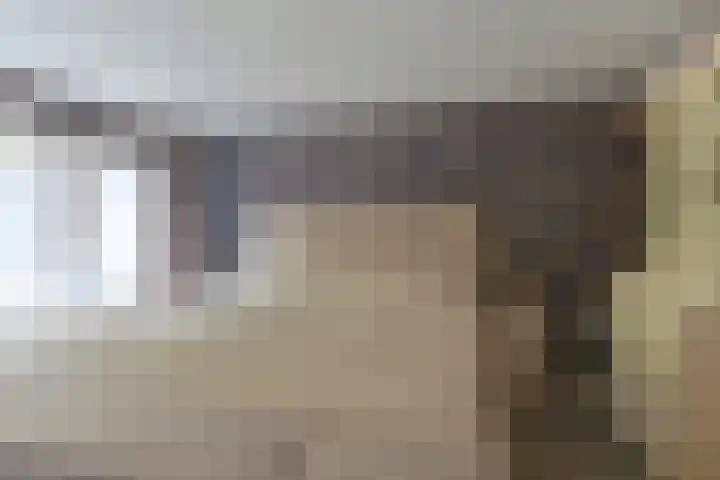 Dambeern 29 Odoorn thumbnail 44