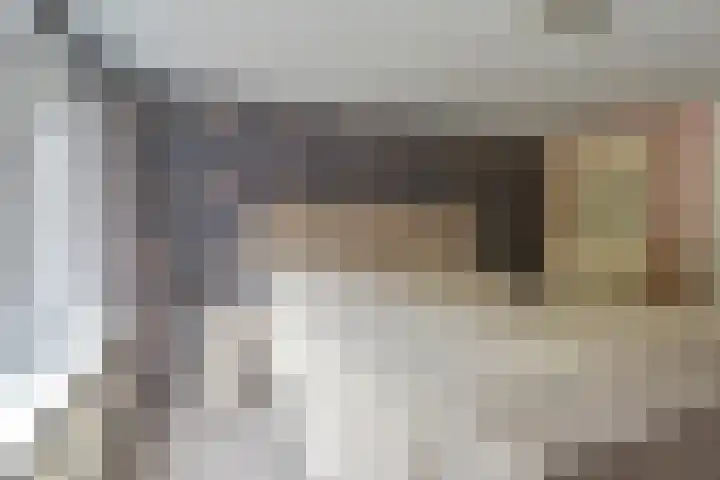 Dambeern 29 Odoorn thumbnail 45