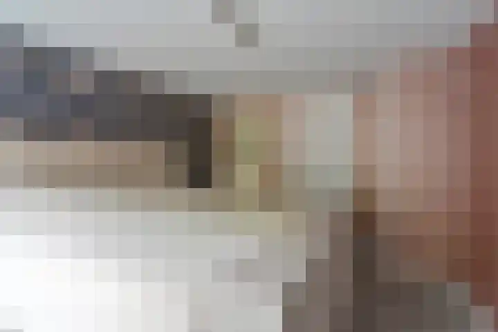 Dambeern 29 Odoorn thumbnail 46