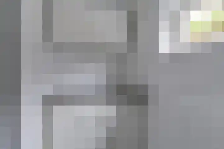 Dambeern 29 Odoorn thumbnail 49