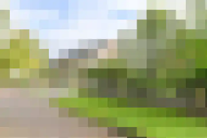 Dambeern 29 Odoorn thumbnail 5