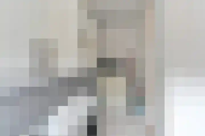 Dambeern 29 Odoorn thumbnail 50