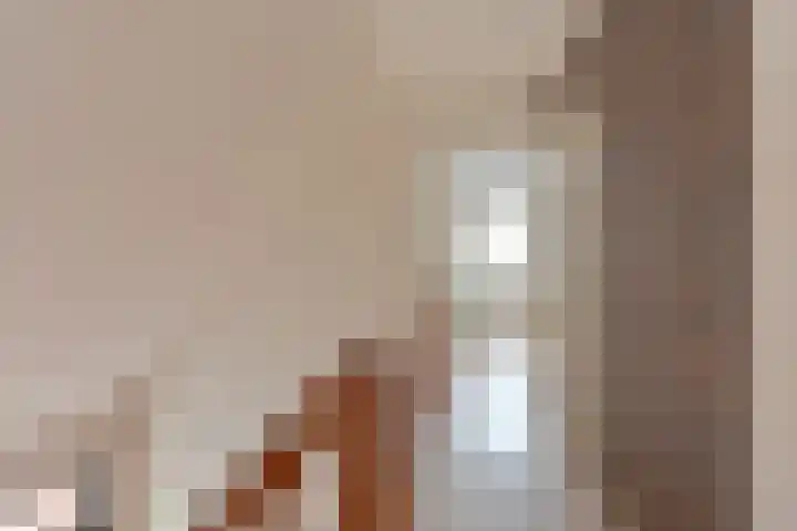 Dambeern 29 Odoorn thumbnail 52