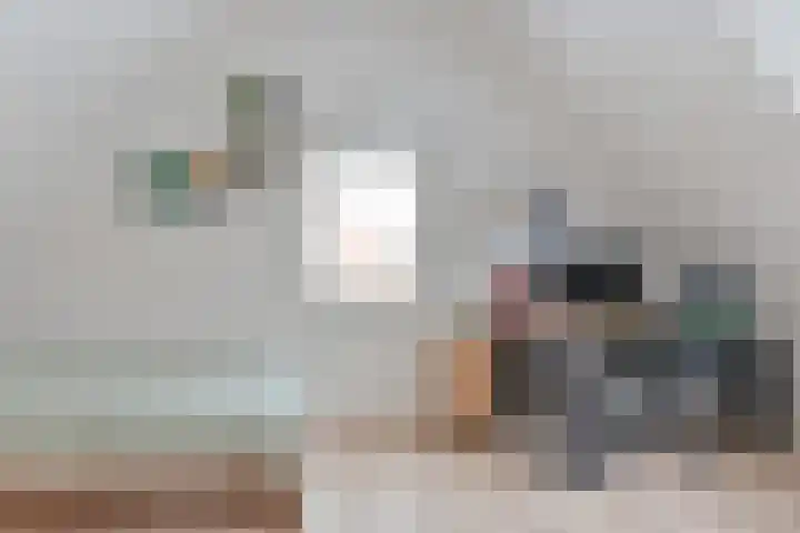 Dambeern 29 Odoorn thumbnail 53