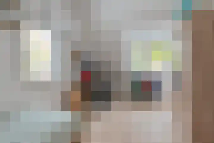 Dambeern 29 Odoorn thumbnail 54