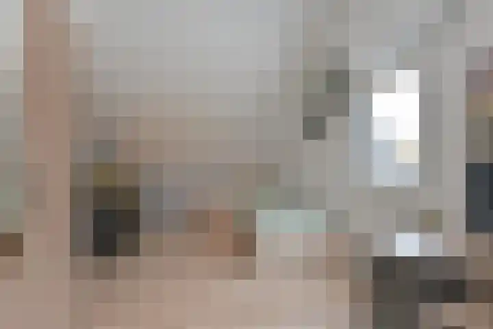 Dambeern 29 Odoorn thumbnail 55
