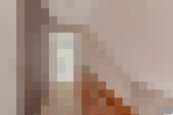 Dambeern 29 Odoorn thumbnail 57