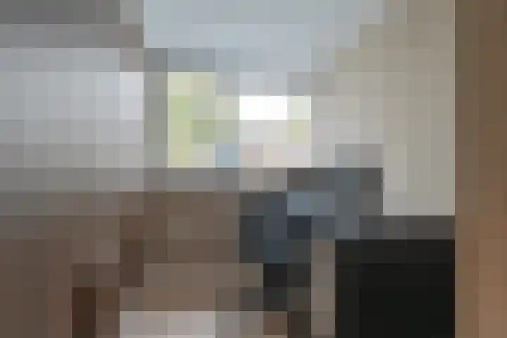Dambeern 29 Odoorn thumbnail 58
