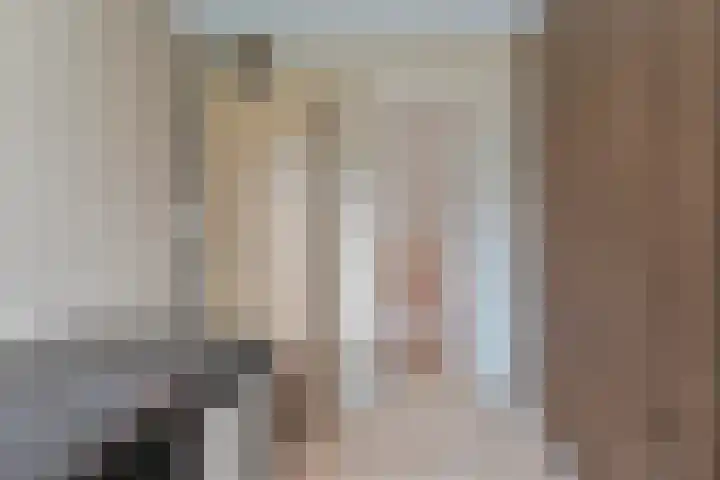 Dambeern 29 Odoorn thumbnail 59