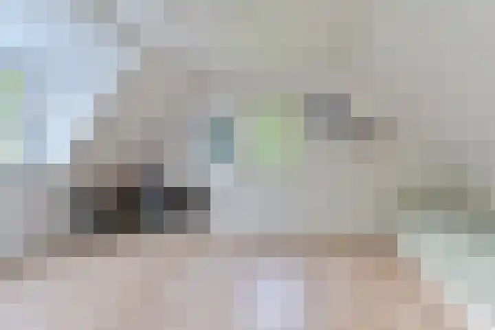 Dambeern 29 Odoorn thumbnail 60