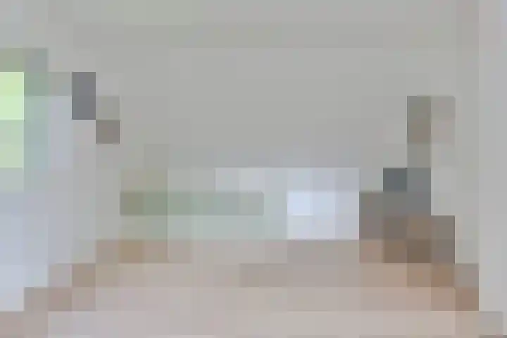 Dambeern 29 Odoorn thumbnail 62