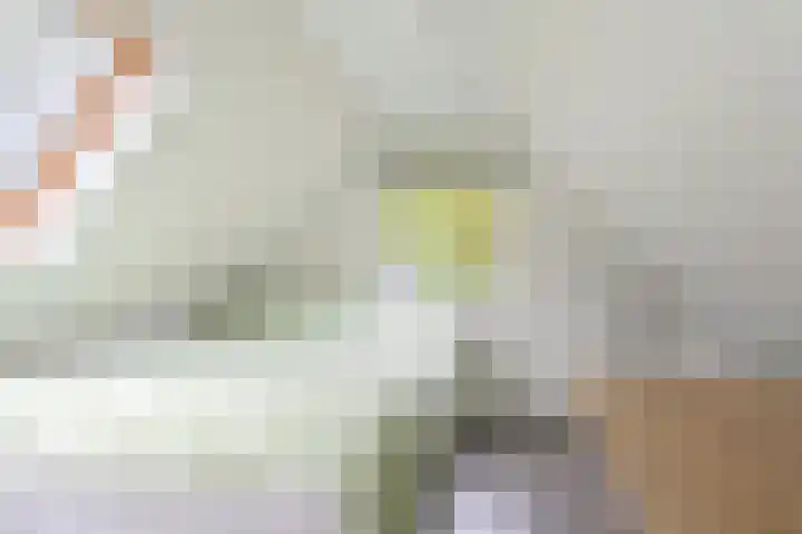 Dambeern 29 Odoorn thumbnail 69