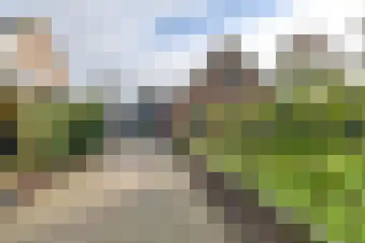 Dambeern 29 Odoorn thumbnail 7