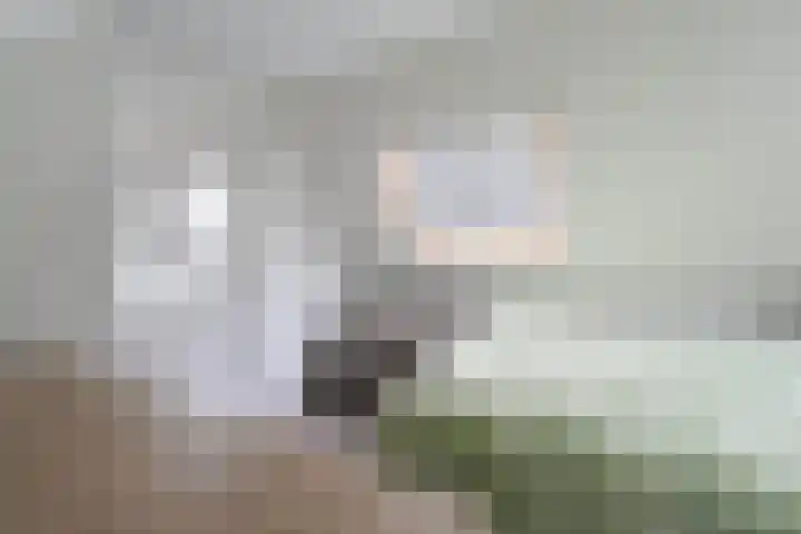 Dambeern 29 Odoorn thumbnail 72