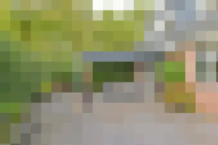 Dambeern 29 Odoorn thumbnail 74